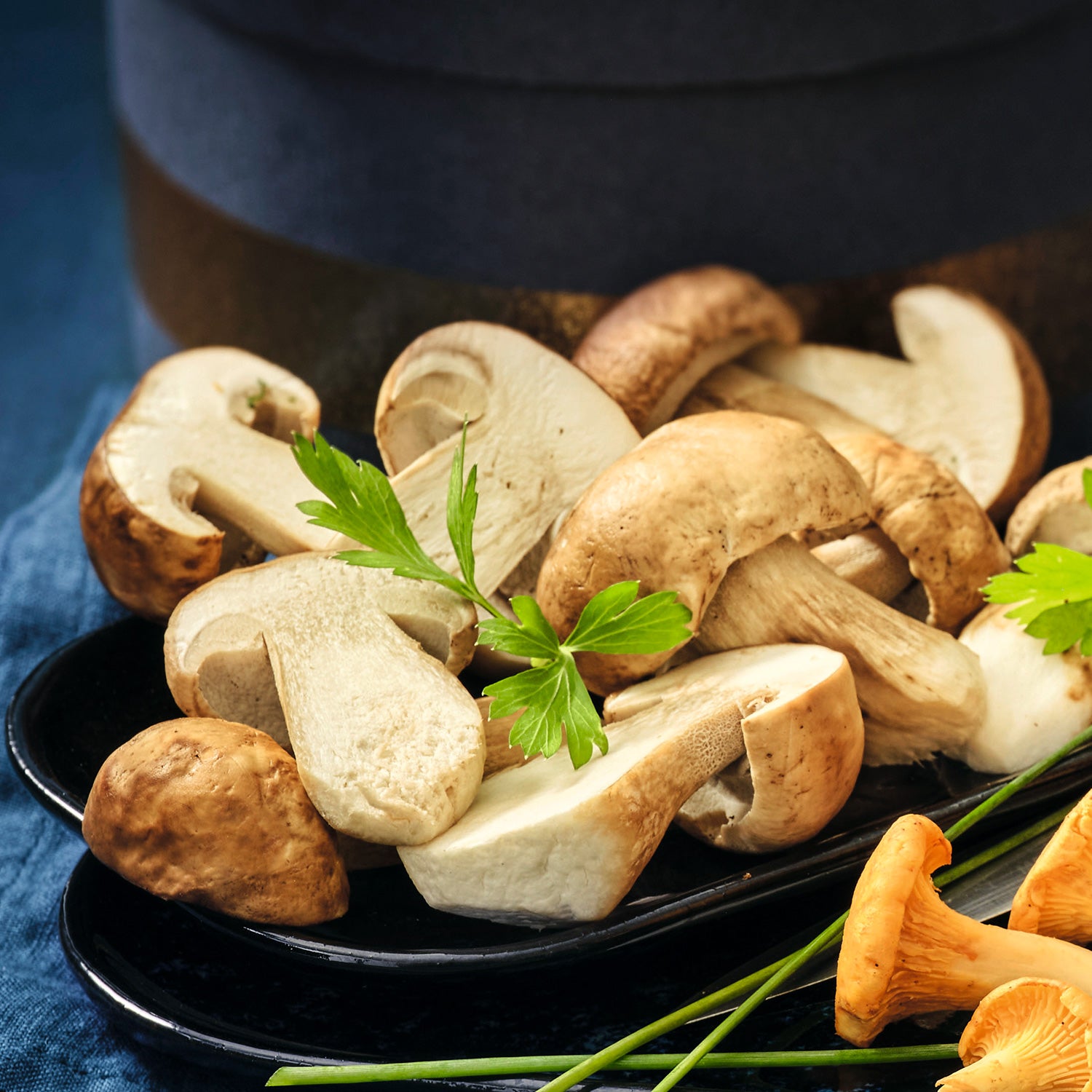 ピカール公式】ポルチーニ茸 冷凍 300g Jeunes Cepes Coupes – Picard