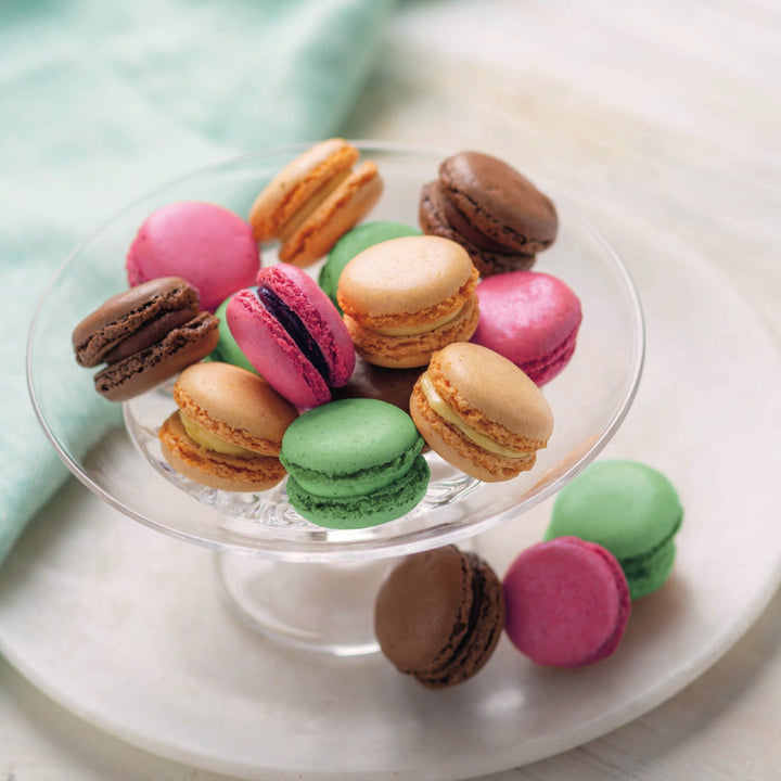 S_82170_1_720x.jpg?v=1703295797